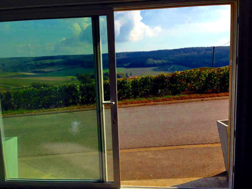 Appartement vacances avec vue sur les vignobles depuis le canapé du salon du gite Flo Flor'ever en Champagne.