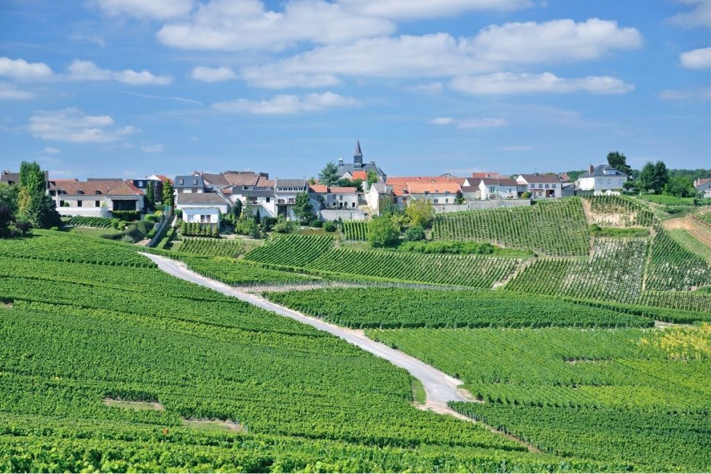 Visite des vignobles d’Épernay avec les Gites Flo, location de gîtes vacances en champagne.