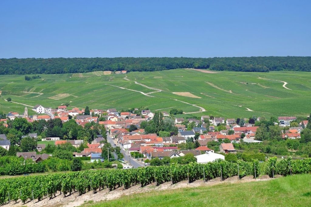 Randonnée dans les vignobles d’Épernay avec les Gites Flo, location de gîtes vacances en champagne.