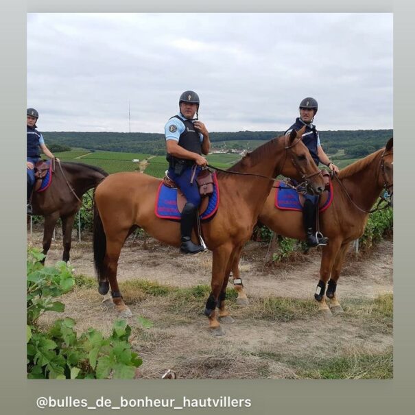 Police Montée a cheval de Hautvillers dans les vignobles, par les gites Flo.